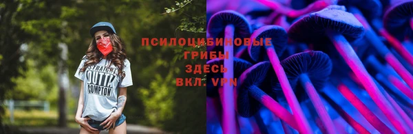 mdpv Няндома