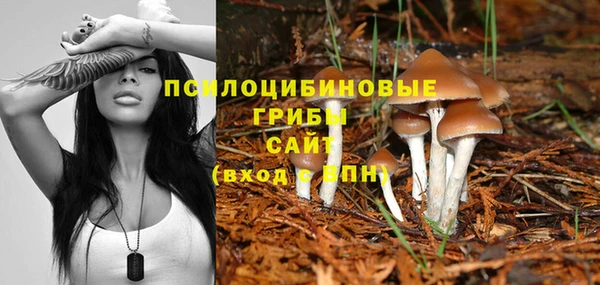 МДМА Осинники